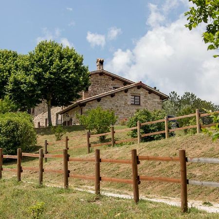 Agriturismo Tenuta Di 비시나 외부 사진