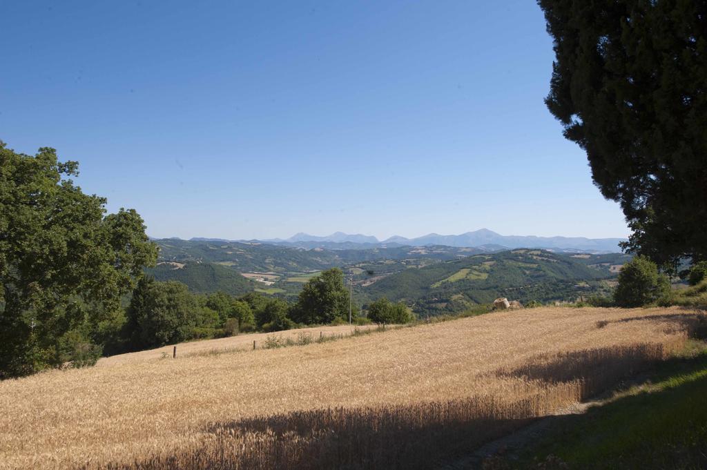 Agriturismo Tenuta Di 비시나 외부 사진