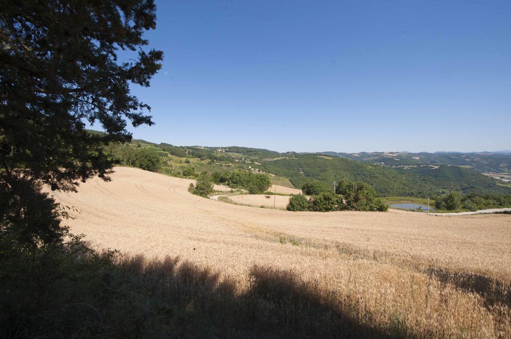 Agriturismo Tenuta Di 비시나 외부 사진