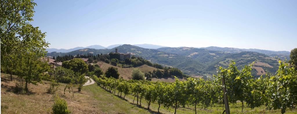 Agriturismo Tenuta Di 비시나 외부 사진