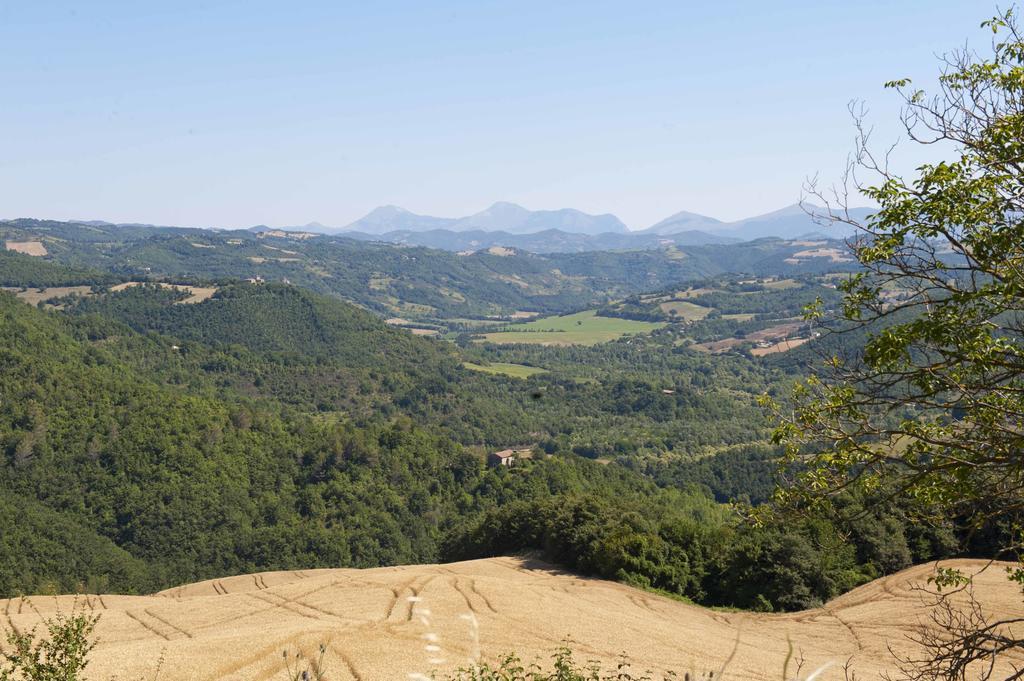 Agriturismo Tenuta Di 비시나 외부 사진