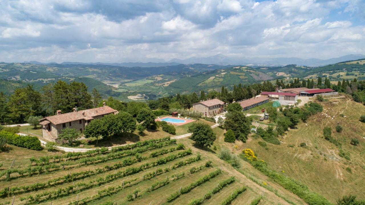 Agriturismo Tenuta Di 비시나 외부 사진