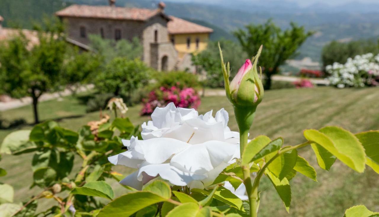 Agriturismo Tenuta Di 비시나 외부 사진